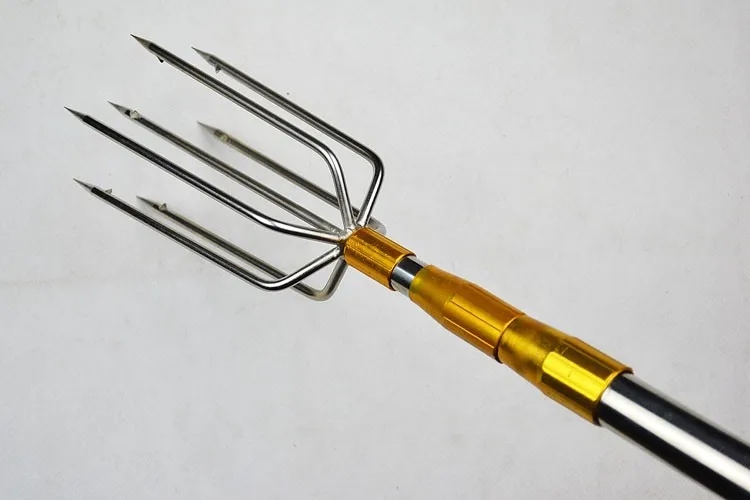 T2J6LbXedbXXXXXXXX_!!261449281