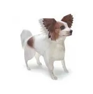 Baidu IME_2014-1-9_16-16-10