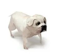 Baidu IME_2014-1-9_16-15-54