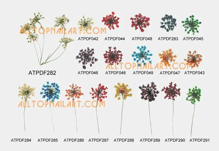 driedflower_pressedflower-p17_01.jpg