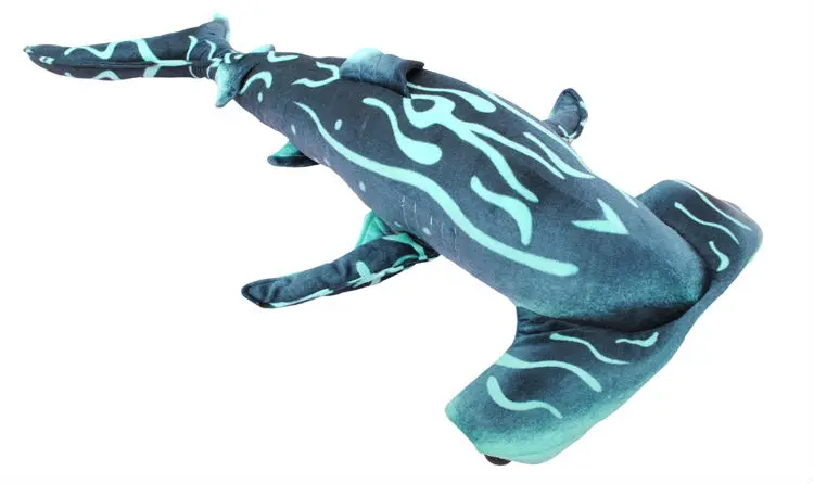 Hammerhead sharks 02