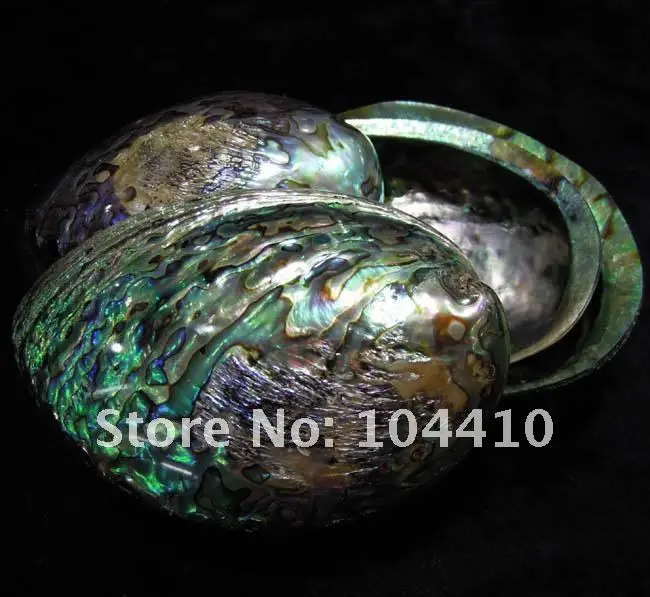 S00875c.jpg