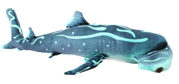 Hammerhead sharks 03