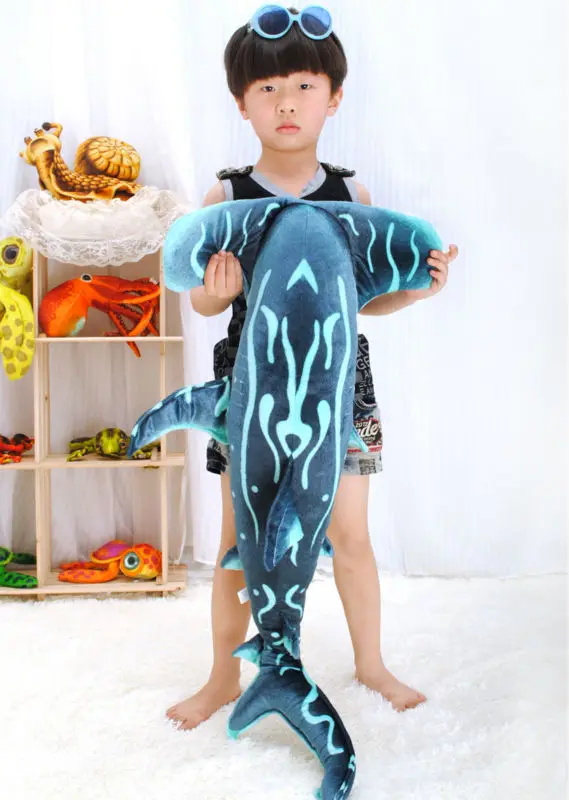 Hammerhead sharks 05
