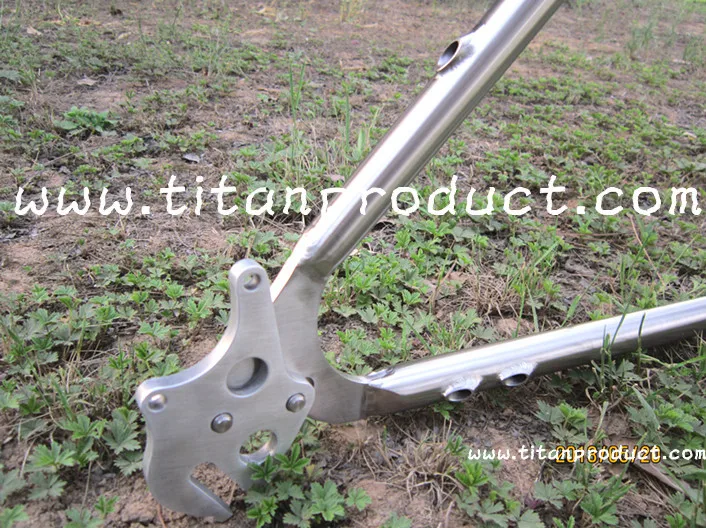 Excellent Titanium MTB Frame 29ER Integrated SeatPost/Internal Cable Running/Rohloff Sliding Dropouts 5