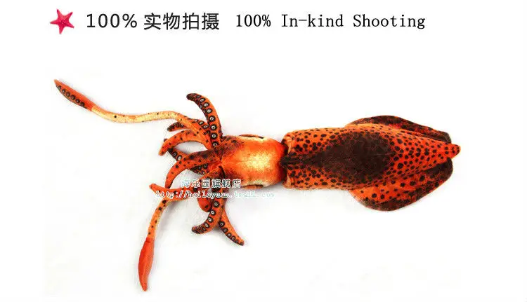 cuttlefish 01