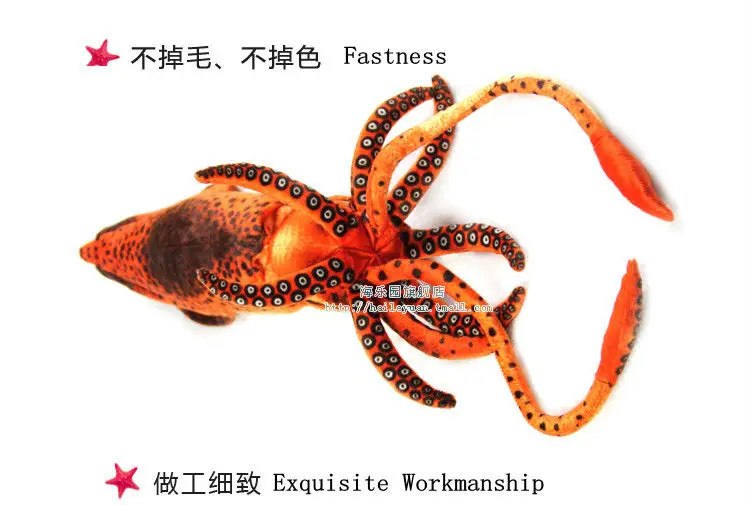 cuttlefish 02