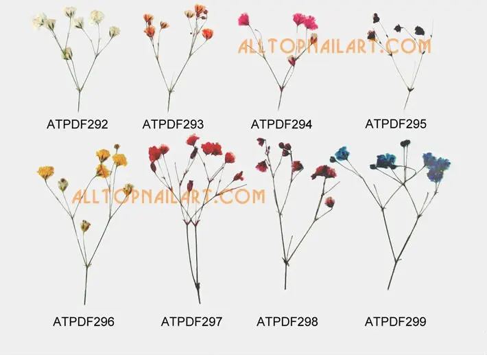 driedflower_pressedflower-p17_02.jpg