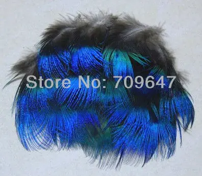 FMP0002