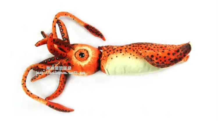 cuttlefish 03