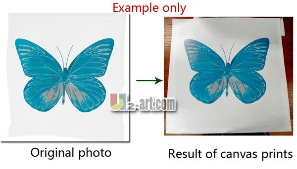 Example only-2
