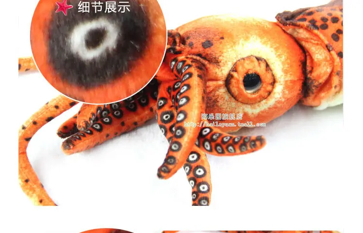 cuttlefish 05