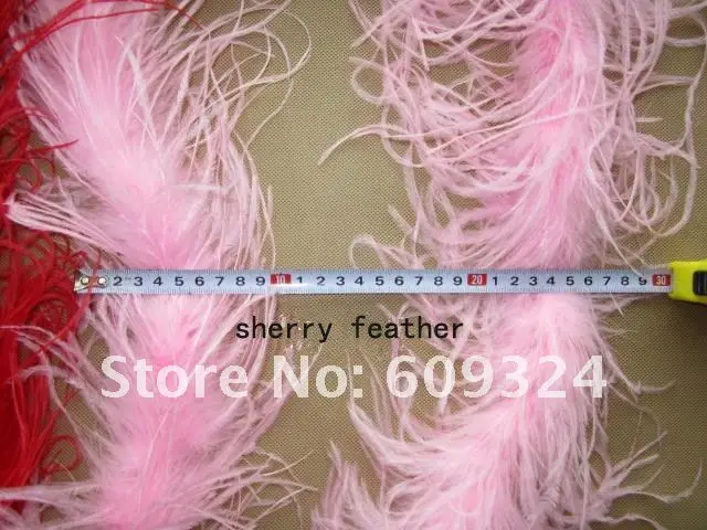 feather boa withe.jpg