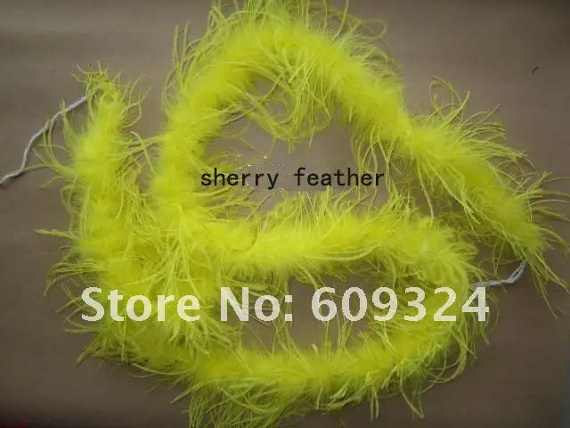 f b yellow.jpg