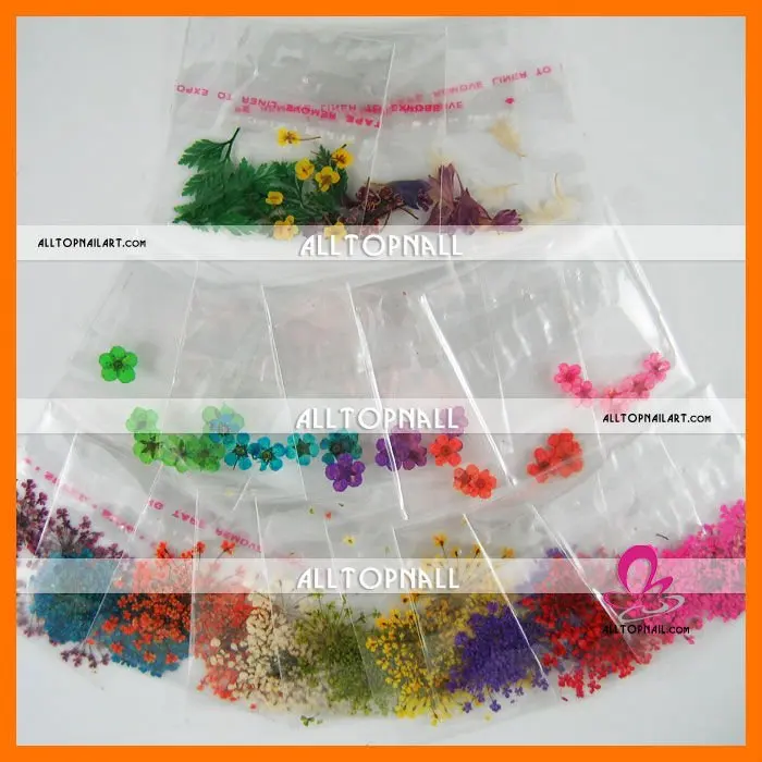 Hot Wholesale Free Shipping - Assorted Styles Real Flower Dried Flower Dry Flower for Nail Art Decoration IMG_6870.jpg