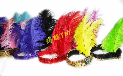 Indian feather headdress,color 