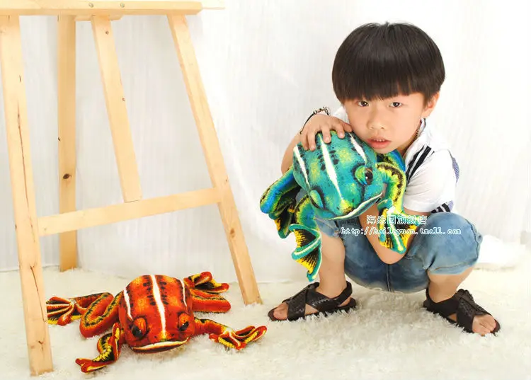 frog 50cm 13