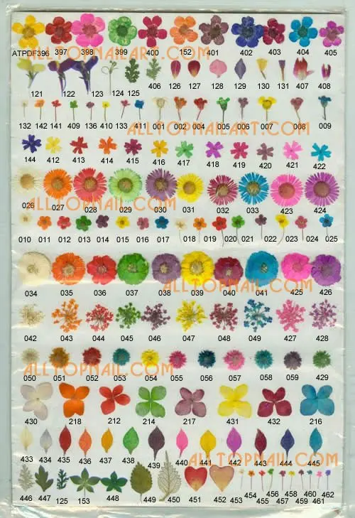 nailart_driedflower_pressedflower-p24.jpg