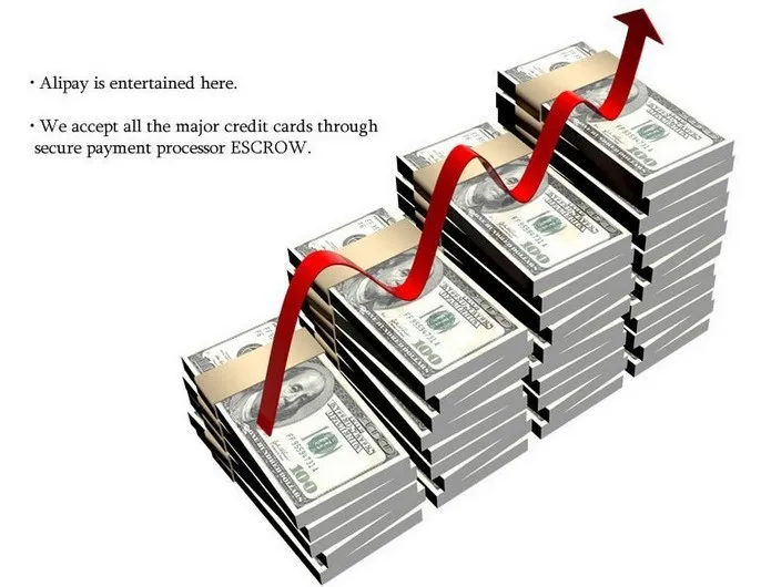 Payment