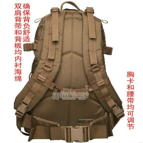 WP-01 _4