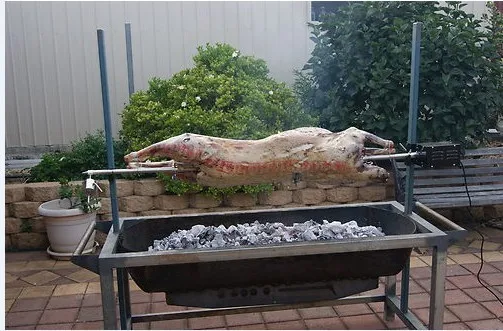 Pig Rotisserie Motor Spit Pig Rotisserie Motor Spit Roaster In Bbq From Home Garden On Aliexpress Alibaba Group