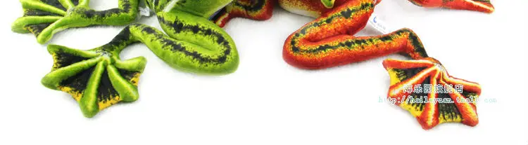 frog 02