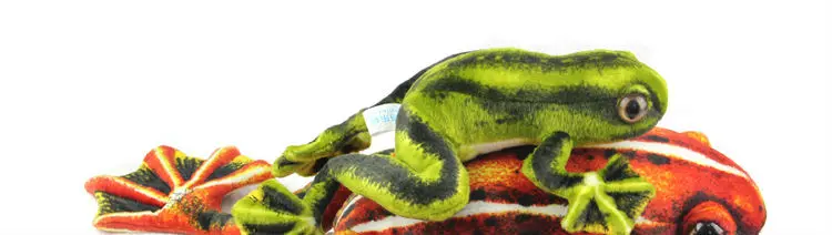 frog 03