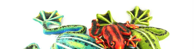 frog 05