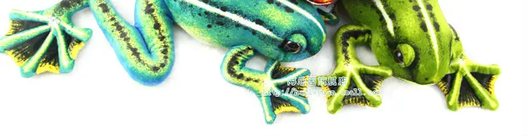 frog 06
