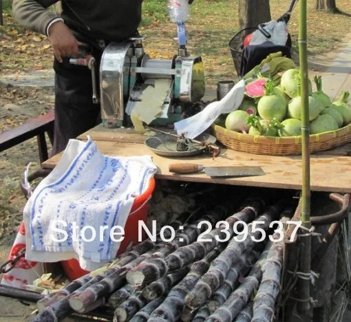 sugarcane juicer 1.jpg