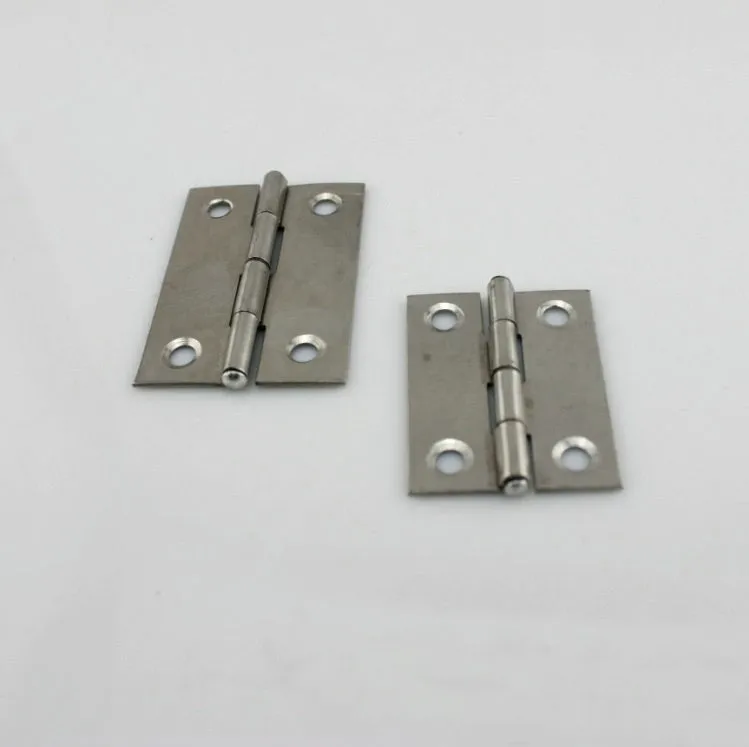 stainless hing13