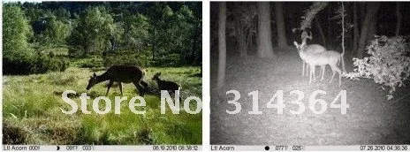 hunting camera hd hc3 04.jpg