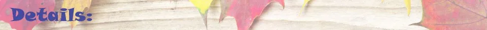 details copy