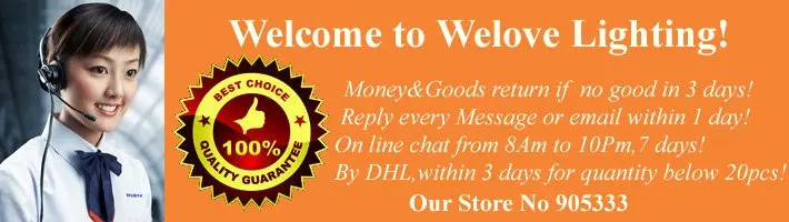 Welove Store.jpg