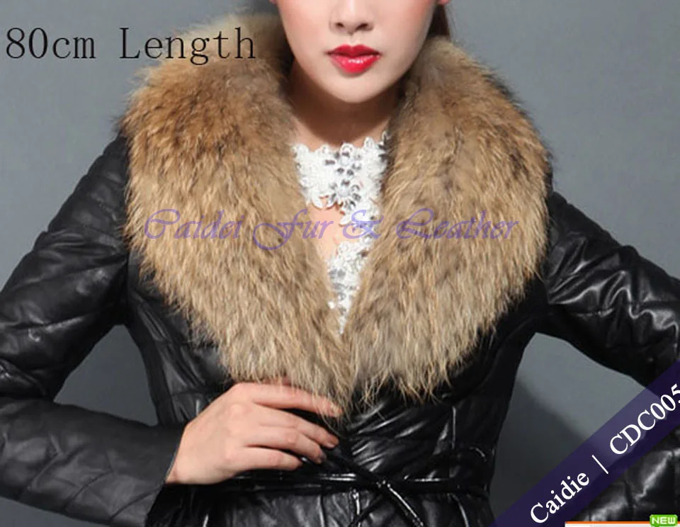 T2iDR0XAtaXXXXXXXX_!!1119953307