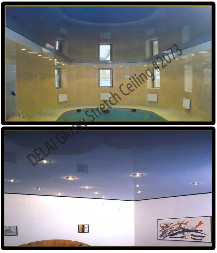 #2073 glossy ceiling film.jpg 1
