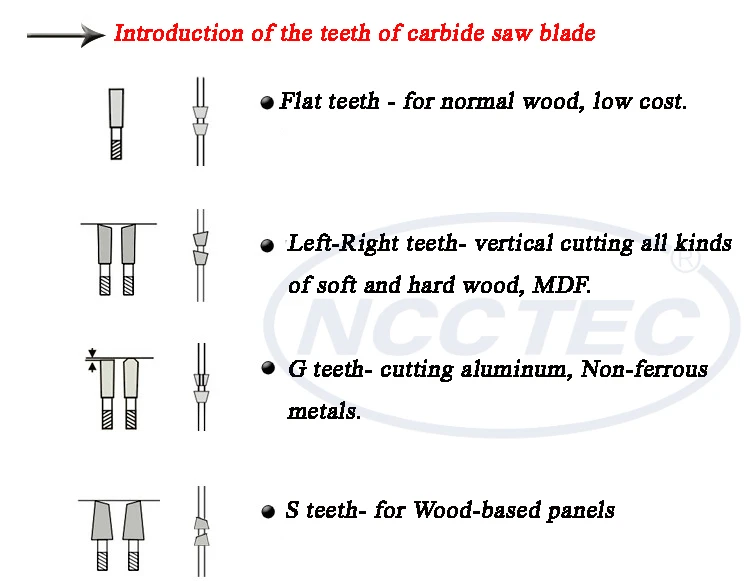 dentes, 5.5 