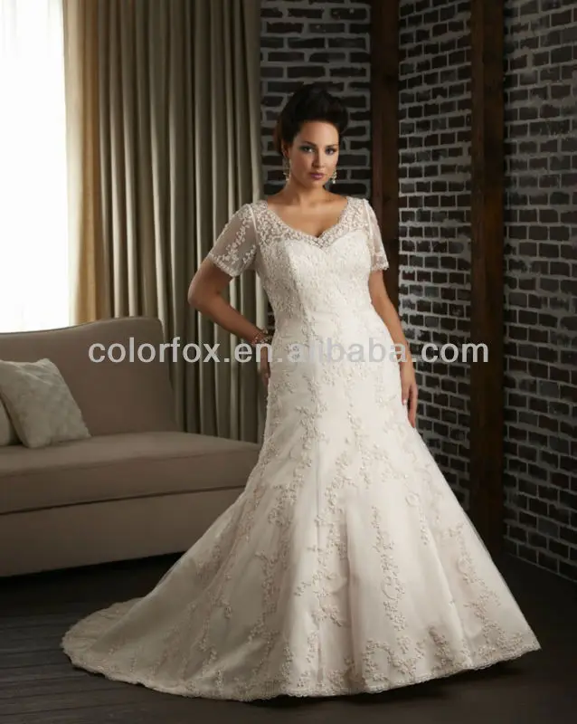 Scrolled Embroidery Tulle Neckline Floral Scroll Pattern Sheer