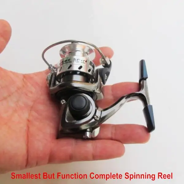 MN100 Fishing Reel World's Smallest Full Metal Mini Ice Shore Ralfting Lure  Winter Pen Rod Spinning Reel - AliExpress