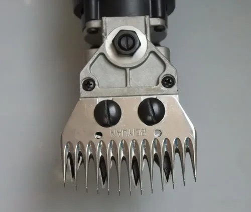 d5