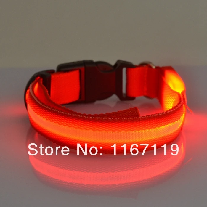 2014 Dog Collar LED (24).jpg