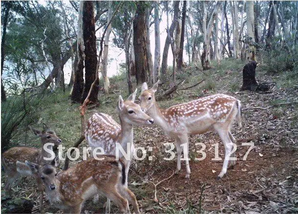 Ltl acorn 6210MM 12MP 1080P HD  MMS scouting trail camera infrared hunting camera 6210M Ltl-6210MM MMS camera