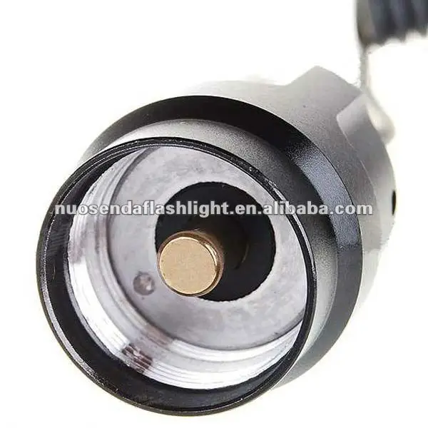 C2 C8 Mouse Tail-3.jpg_.webp