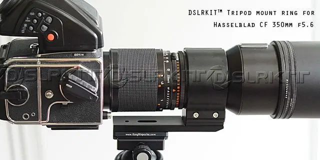 cf3504