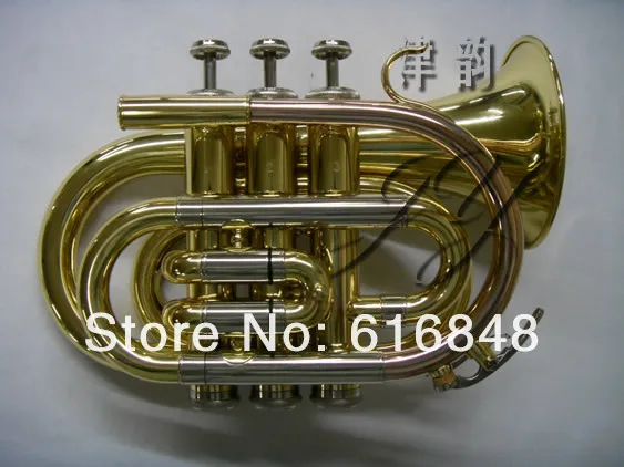 SDC15850.jpg
