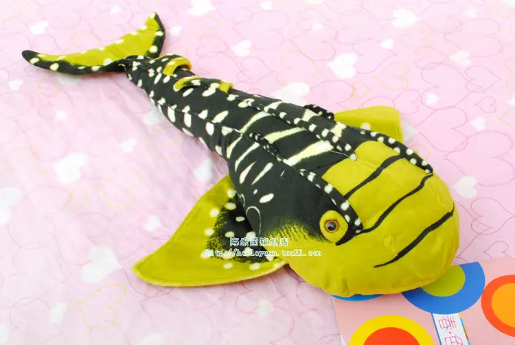 fat ray 01