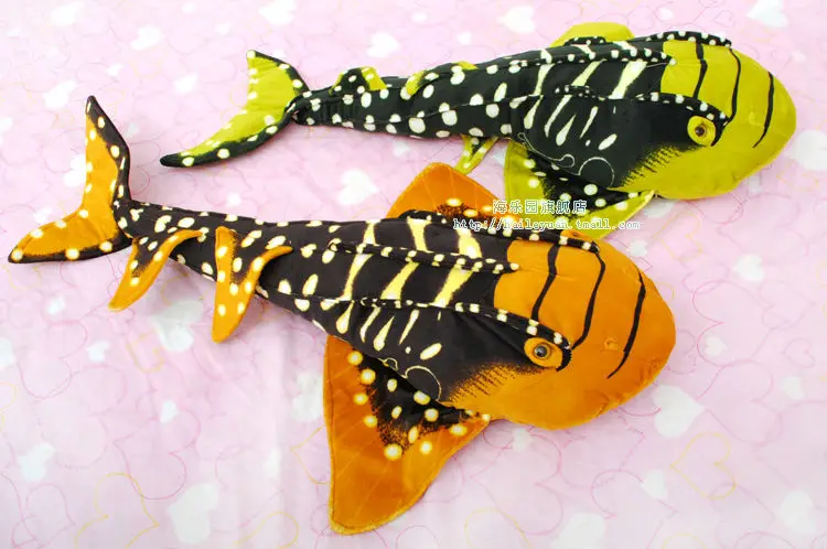 fat ray 02