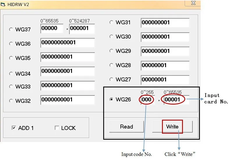 8888_.jpg