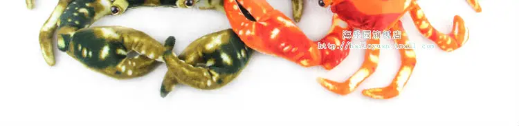crab 008