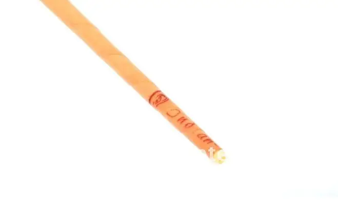 ear plug.jpg